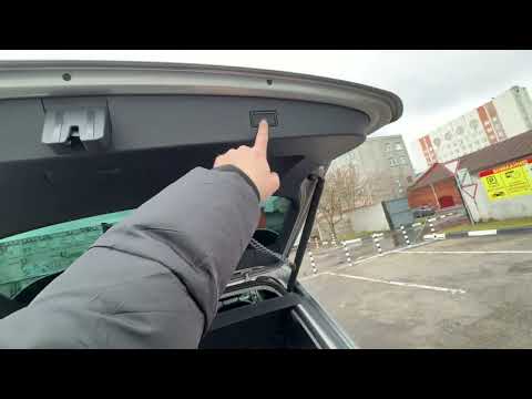 Видео: 4 ноября 2025 г.