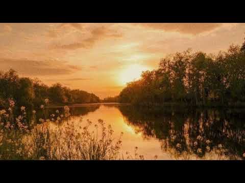 Видео: Вечерний плейлист / вайб вечера