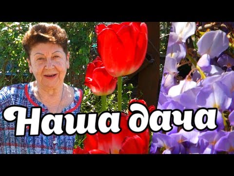 Видео: НАША ДАЧА! Узнаете все о ней!  ДЫДЫНСКИЕ НА СВЯЗИ