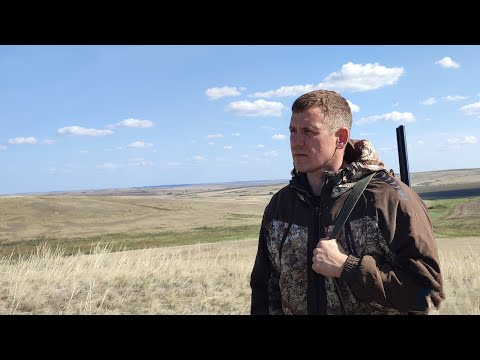 Видео: ПО ВОЛЧЬИМ МЕСТАМ !охота на утку в степях,видел косуль duck hunting wolf hunting