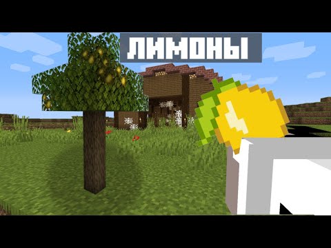 Видео: Впервые Вырастил Лимоны в Майнкрафт