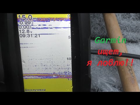 Видео: Эхолот Garmin - ОН ИЩЕТ, Я ЛОВЛЮ.