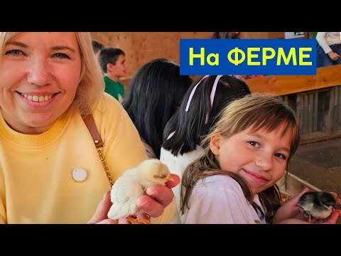 Видео: Ферма в США. Семейные разлечения на выходных.