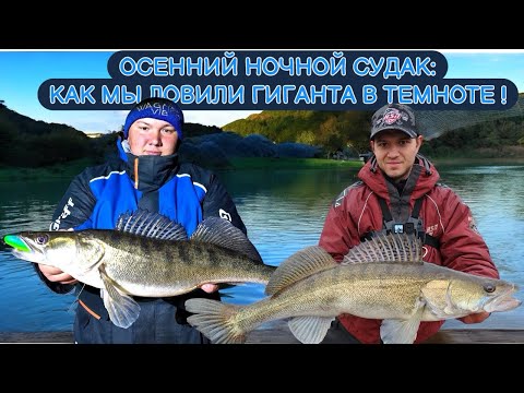 Видео: ОСЕННИЙ НОЧНОЙ СУДАК: КАК МЫ ЛОВИЛИ ГИГАНТА В ТЕМНОТЕ!   