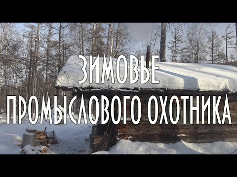 Видео: Зимовье промыслового охотника, таежная избушка, обустройство Видео 4К