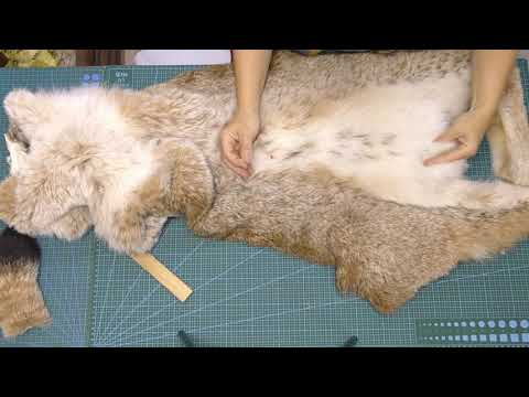Видео: Работа с мехом. Как правильно разрезать шкурку рыси.