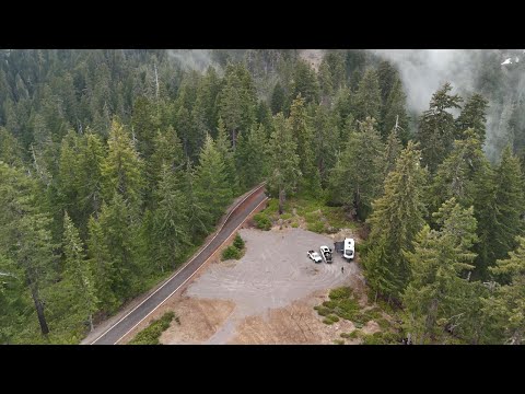 Видео: Весенняя охота на медведя.