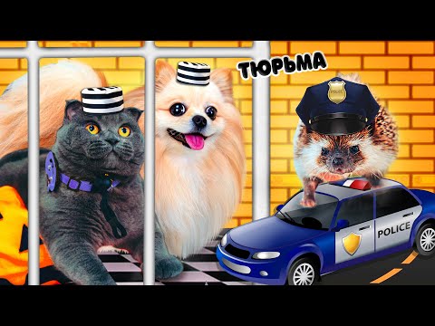 Видео: ПОБЕГ из СЛОЖНОЙ ТЮРЬМЫ ЧЕЛЛЕНДЖ | КТО ПОСЛЕДНИЙ вылезет из ТЮРЬМЫ | ЗАПЕРЛИ КОШКУ на 24 часа