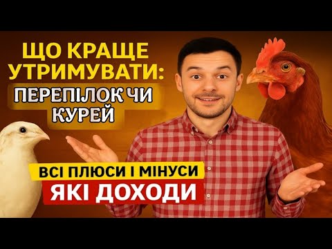 Видео: Кури чи перепілки? Що вигідніше тримати в 2025 році? Плюси та мінуси утримання🐔