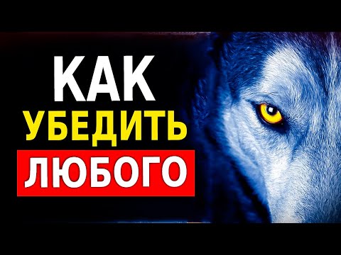 Видео: Как Убедить Кого Угодно в Чем Угодно (9 Способов Убеждать Людей)