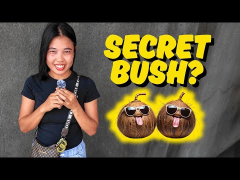 Видео: У филиппинцев дома под домом тайно растет огромный куст?