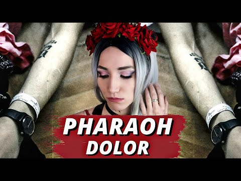 Видео: PHARAOH DOLOR| Реакция ВАМПИРА
