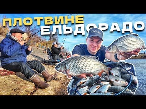 Видео: ТУТ РИБНИЙ РАЙ! КОНФЛІКТ ЗА МІСЦЕ! ! Фідерна рибалка 2025!