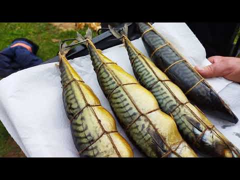 Видео: Скумбрия горячего копчения. Простой рецепт. Коптим вместе.