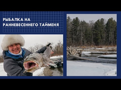Видео: Рыбалка на ранневесеннего тайменя