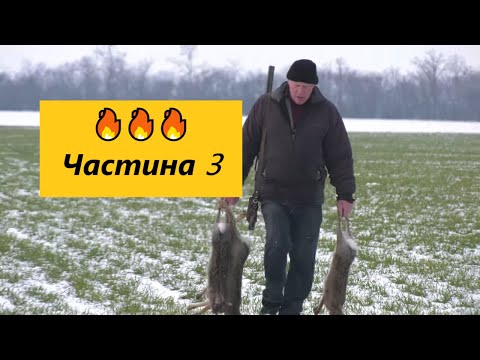 Видео: 🔥🔥🔥 Частина 3 | 🤘🏾🎬 Полювання на зайця-русака | Закриття сезону 2020✨