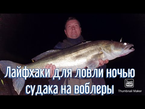 Видео: Лайфхаки для ловли ночного судака на воблеры ночью.