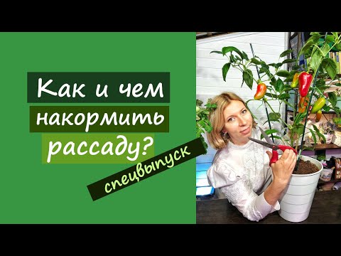 Видео: Дачные сезоны с Мариной Рыкалиной