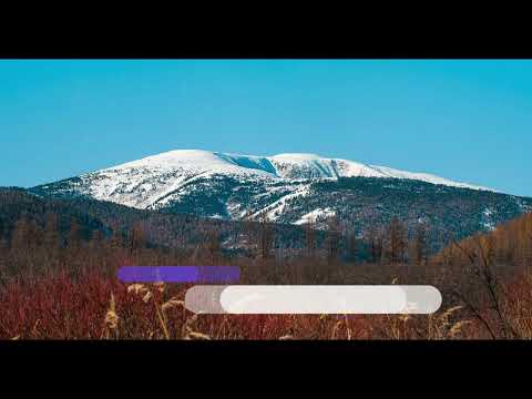 Видео: Бөө Эр Хан хал Дун Ай Хай Эл Ул  2023 12 22