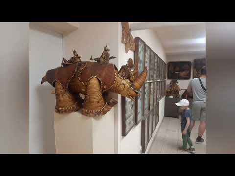 Видео: Мои цветочные покупочки и путешествие в Новосибирск