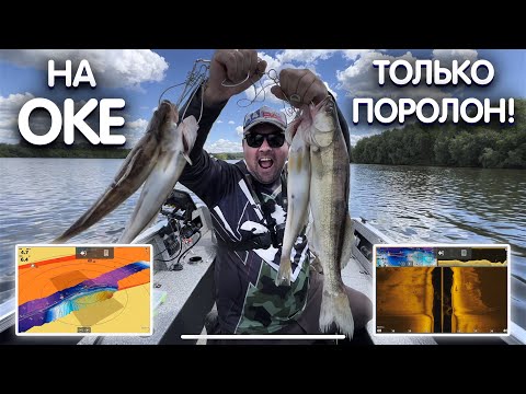 Видео: НАПОРОЛ НА ПОРОЛОН СУДАКА с одной точки. Рыбалка на спиннинг на оке. Судак на спиннинг с лодки.