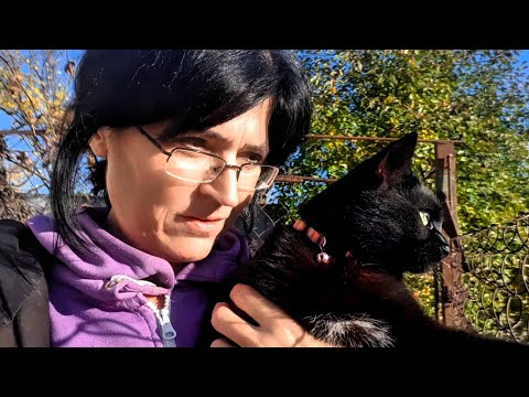 Видео: Наш уютный день: гуляем с кошкой и готовим вкусняшки!