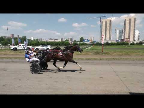 Видео: 15.06.2024г. БСК-2024г  Красноярский Ипподром ПРИЗ ЗАКОНОДАТЕЛЬНОГО СОБРАНИЯ КРАСНОЯРСКОГО КРАЯ