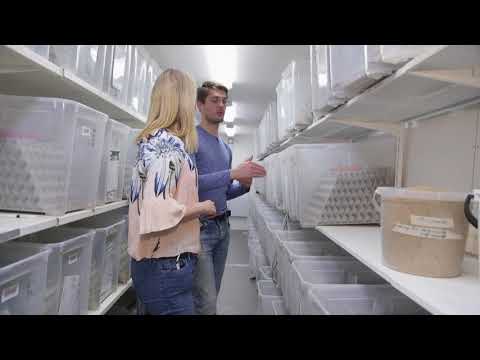 Видео: Давайте посетим финскую ферму сверчков!