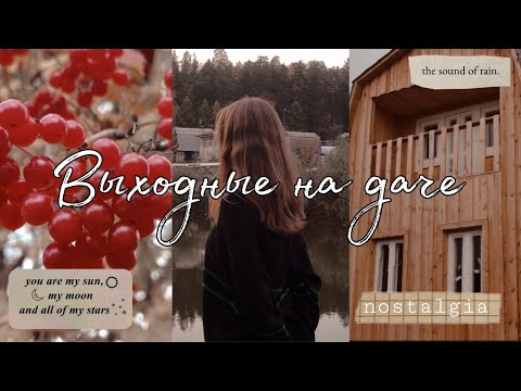 Видео: Ностальгия, игрушки моего детства, прогулка с семьёй | Выходные на даче