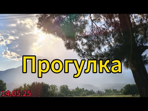 Видео: Гуляем по посёлку Текирова (Кемер, Турция). Красивые виды, вкусные редкие фрукты 🔥