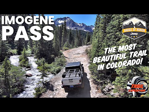 Видео: Запускайте IMOGENE PASS, пока его не закрыли!