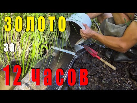 Видео: Сколько золота за день промывки на шлюзе?!