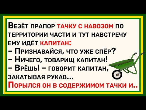 Видео: Как Хитрый Прапор Спёр... ! Сборник Лучших Смешных Анекдотов Для Супер Настроения!