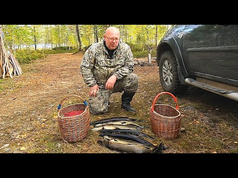 Видео: Рыбалка в Карелии. Нашёл косяк щуки на незнакомом озере. Рыба, ягоды, грибы.