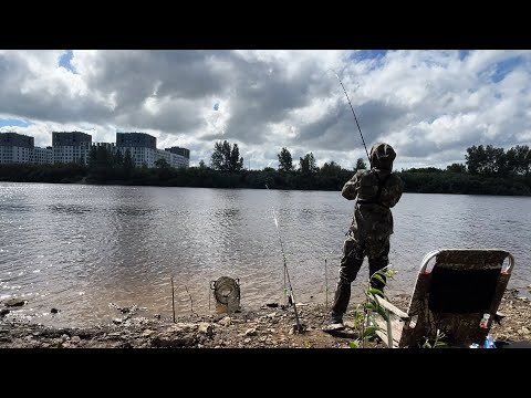 Видео: Поклёвки одна за другой, не успевал перезабрасывать! Утренняя рыбалка на фидер на реке #рыбалка72