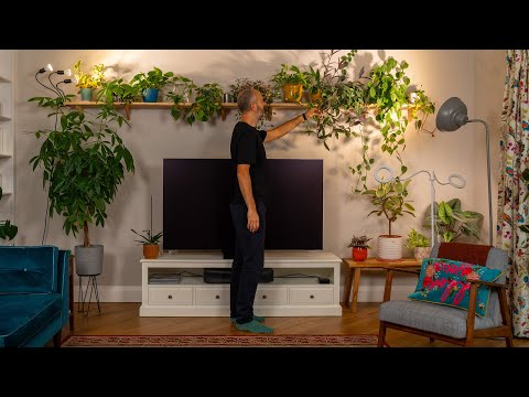 Видео: Растения изменили мое психическое здоровье (это не то, что вы думаете)