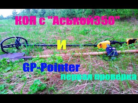 Видео: Поиск монет с металлоискателем//Аська350