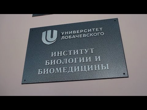 Видео: ИББМ. Университет глазами студентов