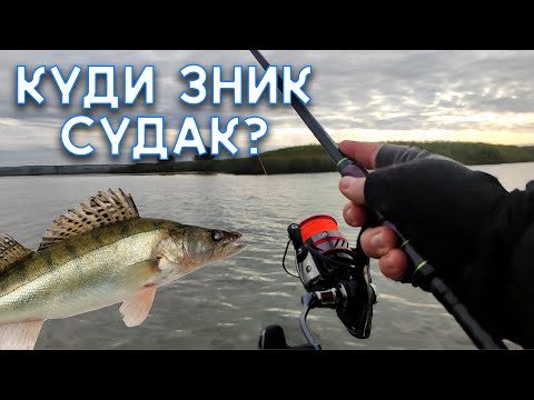 Видео: РИБОЛОВЛЯ НА ДВА СПІНІНГА / "ТРОФЕЙНИЙ" ОКУНЬ / КУДИ ПОДІВСЯ СУДАК?