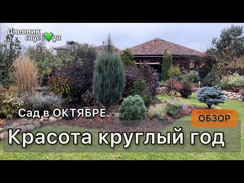 Видео: Прогулка обзор сада. Растения подписаны. Садовые работы осенью