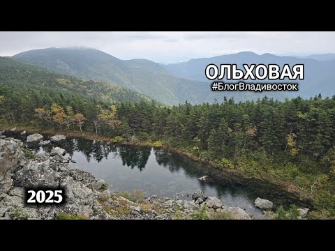 Видео: Гора Ольховая, Приморский край. #БлогВладивосток ищи в телеграмм