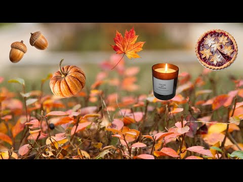 Видео: Осенний день со мной. Обзор нового года 2026 в Ашан.