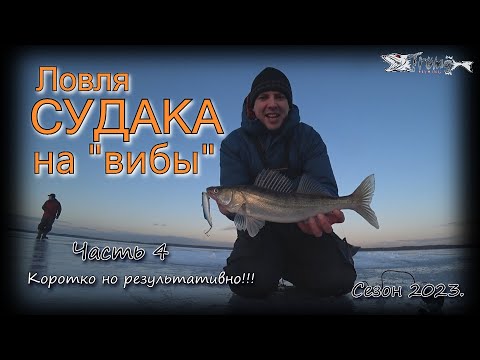 Видео: Ловля судака на вибы. Коротко, но результативно!!! Часть 4. Сезон 2022-23