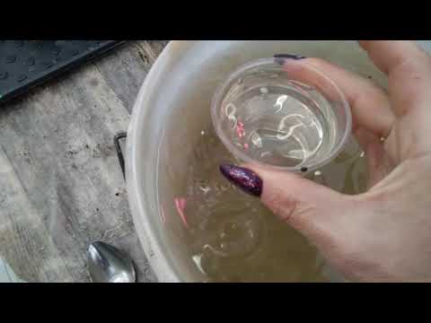 Видео: # 9.Поливаю пеларгонии, подкормки в зимнее время.