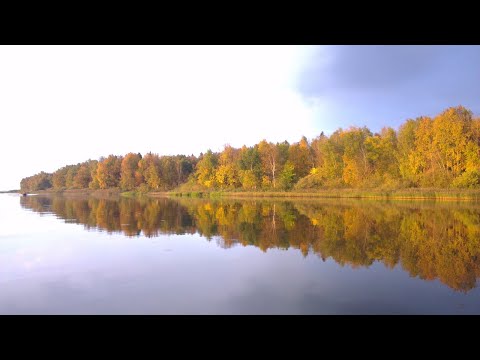 Видео: Рыбалка на спиннинг.  Река Кострома.  Разведка новых мест.  Золотая осень.