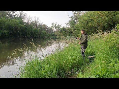 Видео: РЫБАЛКА НА ЛЕЩА. РЕКА САМАРА