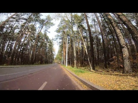 Видео: САМЫЙ КРАСИВЫЙ ПАРК В ЕКБ