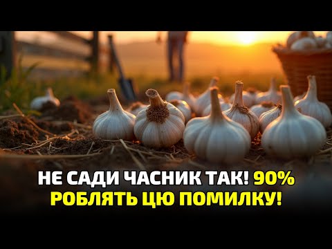 Видео: Ось чому ваш часник не росте! Один неправильний крок псує весь урожай!
