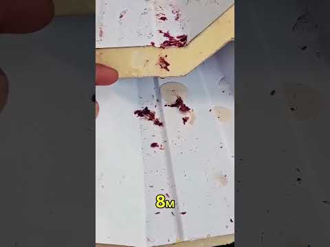 Видео: Панели для крыши. #ремонтвдоме #находки #вседляремонта