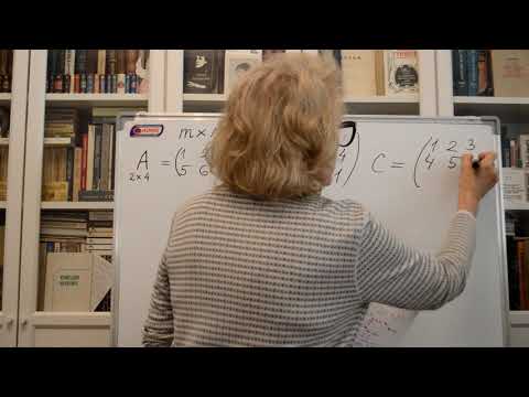 Видео: Лекция 1. Матрицы